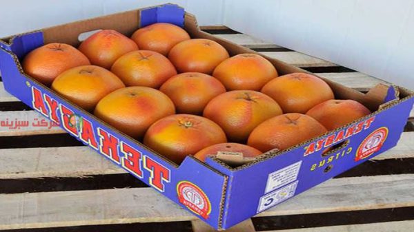 صادرات سیب و پرتقال