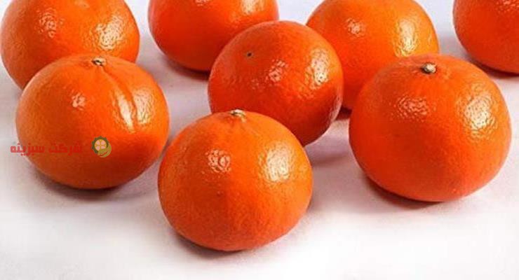 خرید ارزان قیمت نارنگی مرغوب ارائه شده