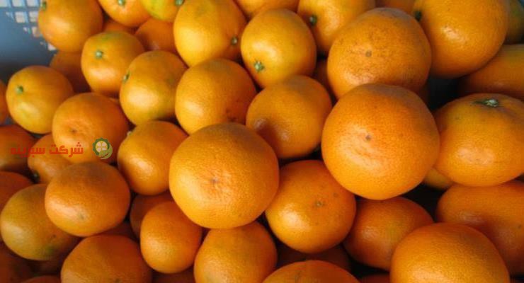درجه کیفی پرتقال نارنگی