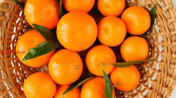 قیمت نارنگی در بازار تهران