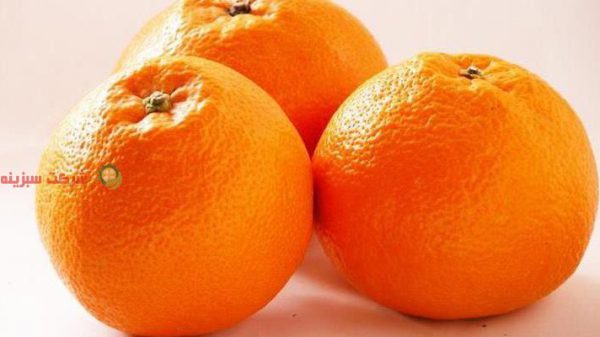 قیمت نارنگی شمال