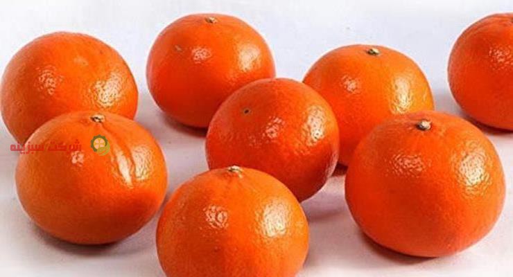 قیمت روز نارنگی