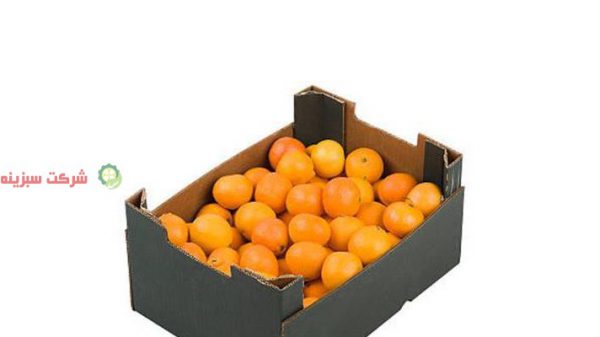 قیمت خرید نارنگی