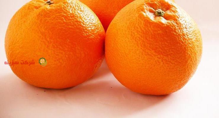 تولید نارنگی امسال در کشور