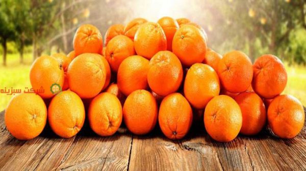 قیمت پرتقال آنلاین