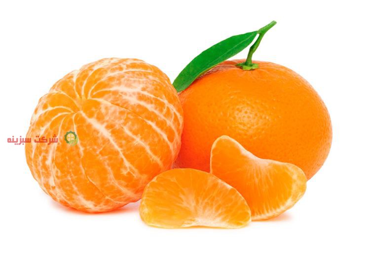 سایت فروش پرتقال و نارنگی