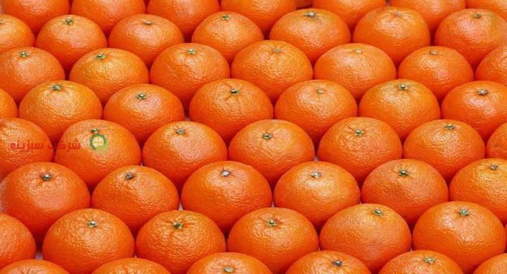 باغ های پرتقال مازندران