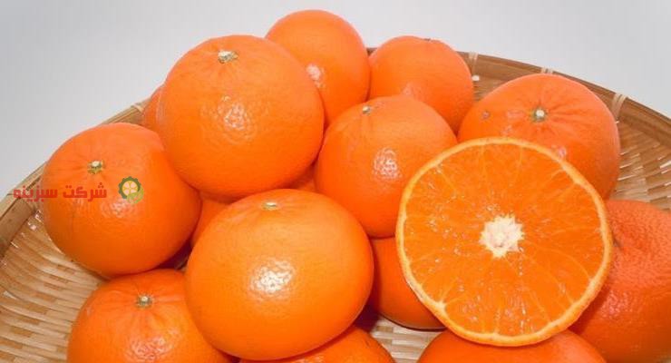 بهترین روش خریداری کردن پرتقال