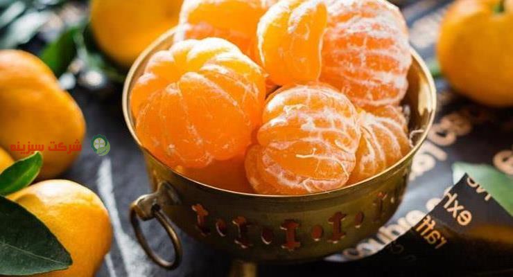 فروش بهترین پرتقال در بازار