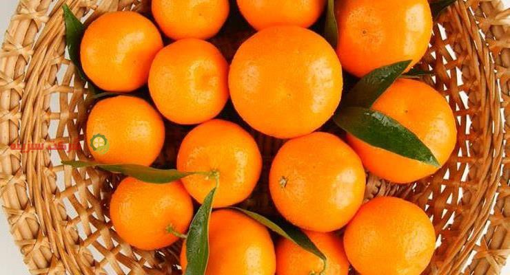 سامانه خرید و فروش نارنگی به صورت اینترنتی