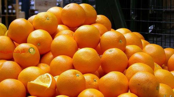 قیمت خرید پرتقال عمده شمال