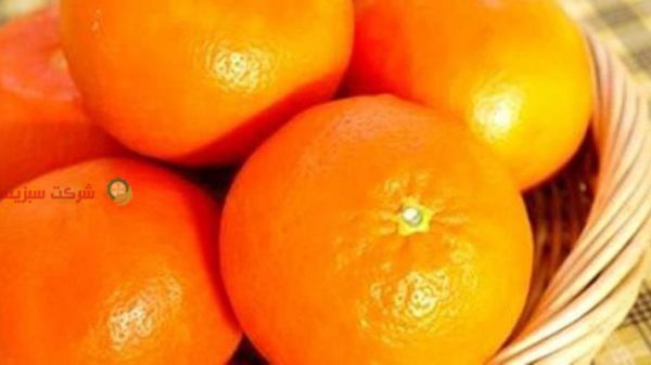 قیمت نارنگی تهران