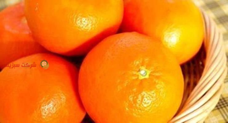 قیمت نارنگی تهران
