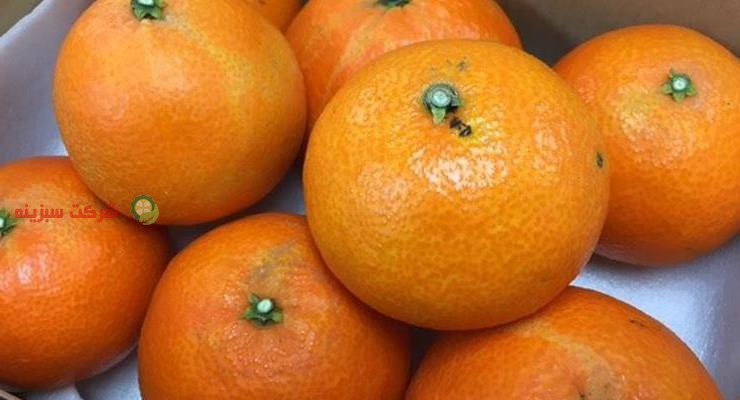 قیمت نارنگی روز در بازار