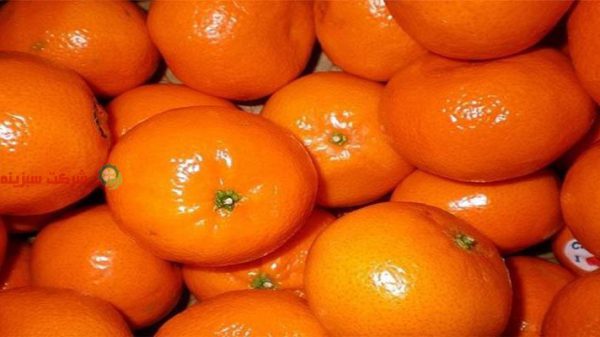 قیمت پرتقال در قائمشهر