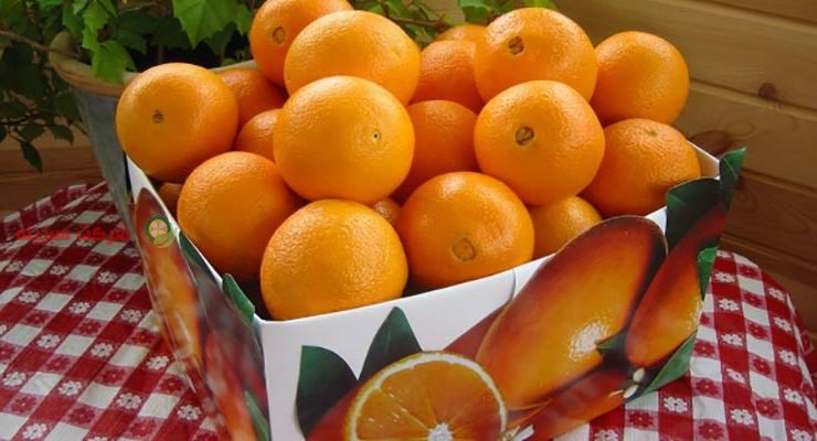 بسته بندی پرتقال جهت فروش