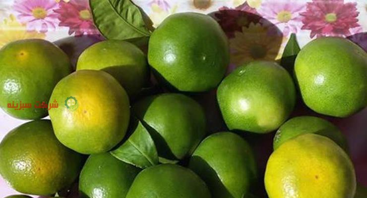 خرید نارنگی ژاپنی در میدان بار و مراکز تعیین شده