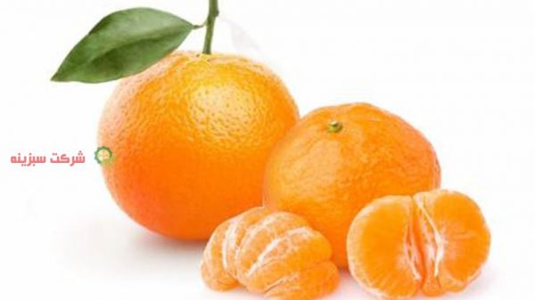 قیمت نارنگی در مازندران
