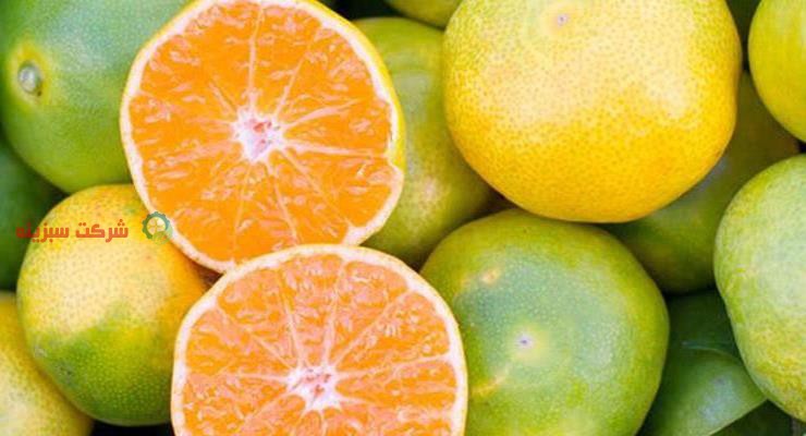 قیمت نارنگی به روز