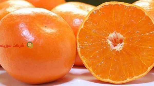 قیمت نارنگی در میدان تره بار تهران