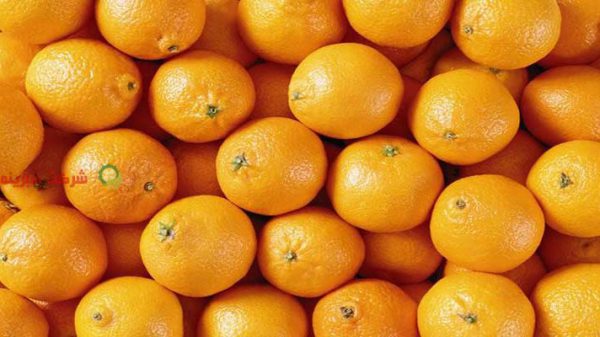 قیمت کیلویی پرتقال سبزینه
