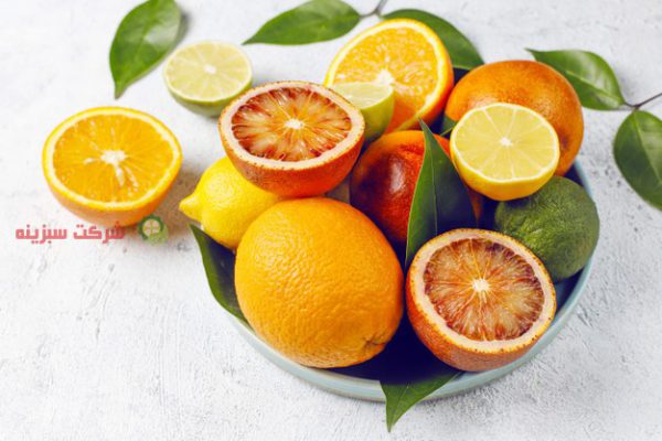 فروش عمده پرتقال شمال ایران