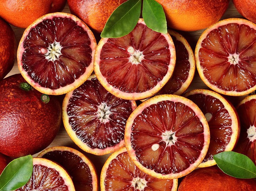 فروش انواع پرتقال خونی