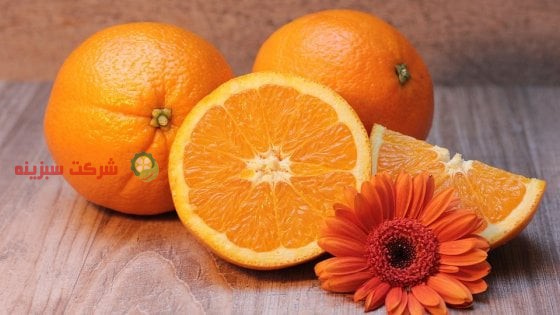 بهترین نرخ فروش پرتقال