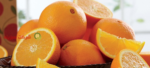 جدیدترین قیمت پرتقال تامسون