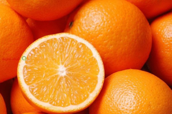 خرید انواع پرتقال از باغ