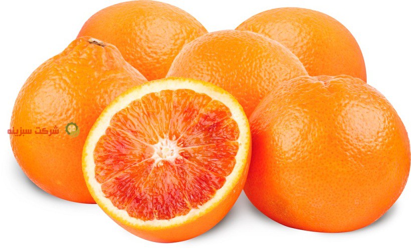 بهترین قیمت پرتقال شمال