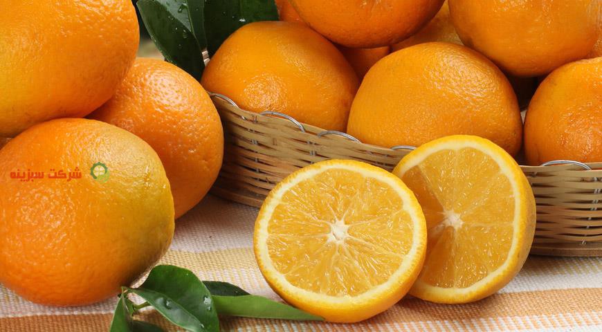 فروش عمده پرتقال صادراتی