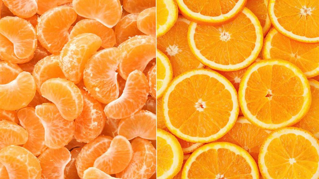 صادرات پرتقال مازندران به روسیه