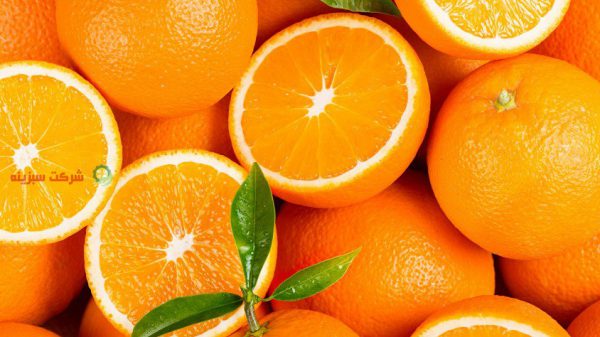 فروش پرتقال صادراتی درجه یک عمده