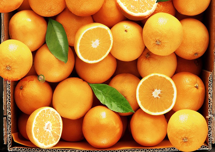 قیمت مصوب پرتقال شب عید