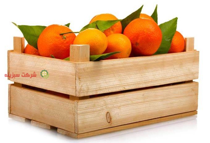 فروش آنلاین پرتقال بسته بندی