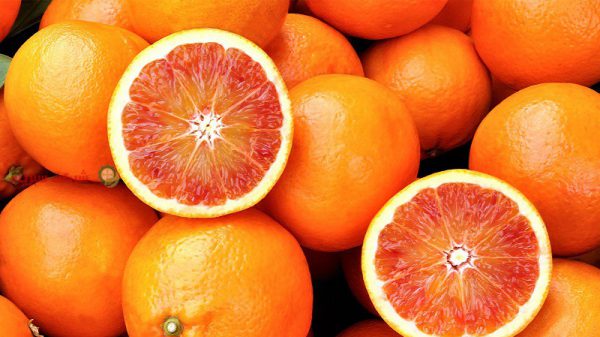 نرخ تضمینی پرتقال خونی