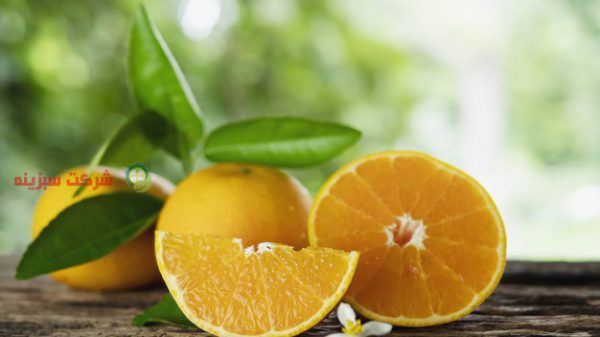 بهترین قیمت پرتقال صادراتی