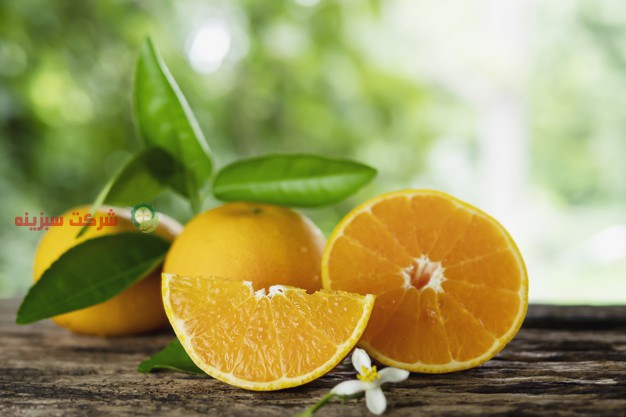 بهترین قیمت پرتقال صادراتی