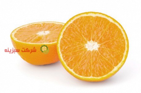 پرتقال صادراتی شمال در بازار
