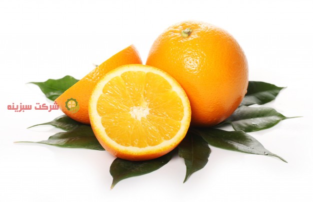 فروش پرتقال صادراتی درجه یک