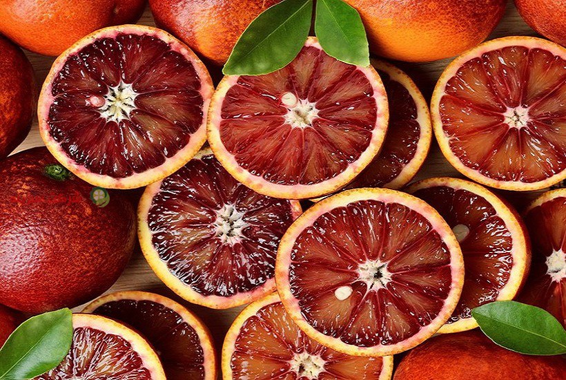 قیمت پرتقال خونی صادراتی
