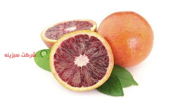 قیمت پرتقال خونی صادراتی