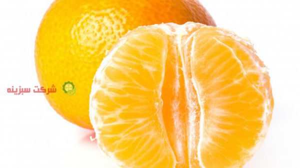 خریدار عمده پرتقال صادراتی