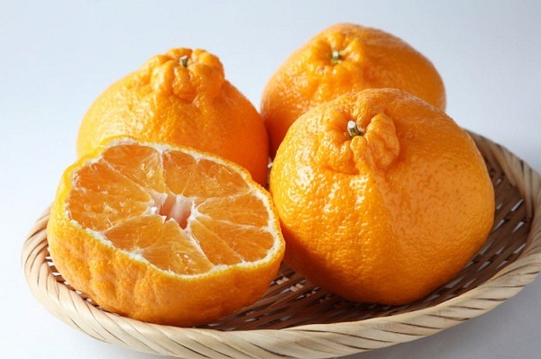 خرید بهترین نارنگی