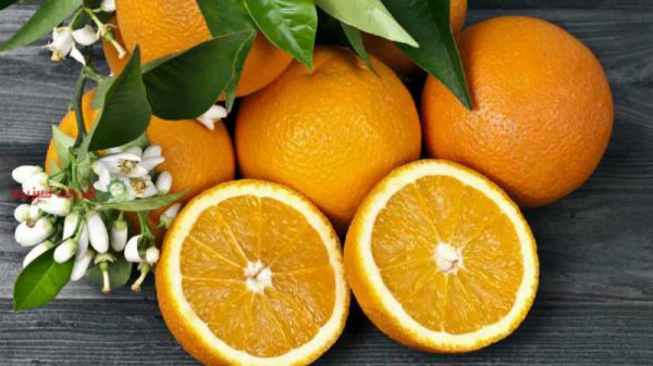 خرید بهترین پرتقال
