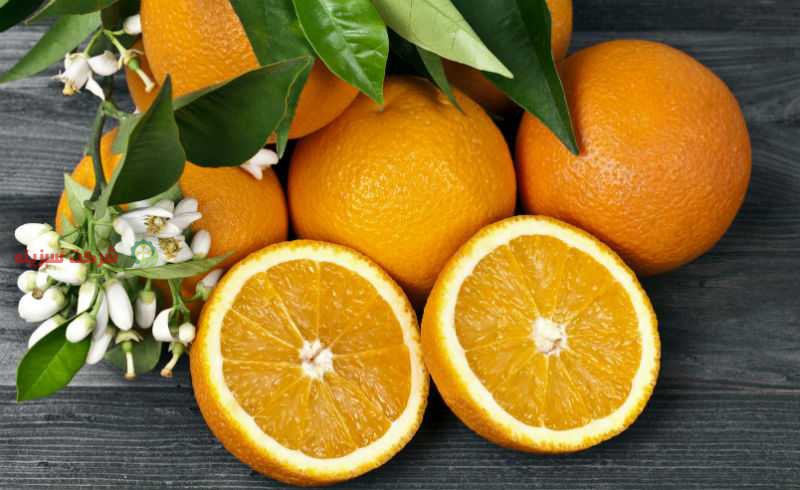 خرید بهترین پرتقال