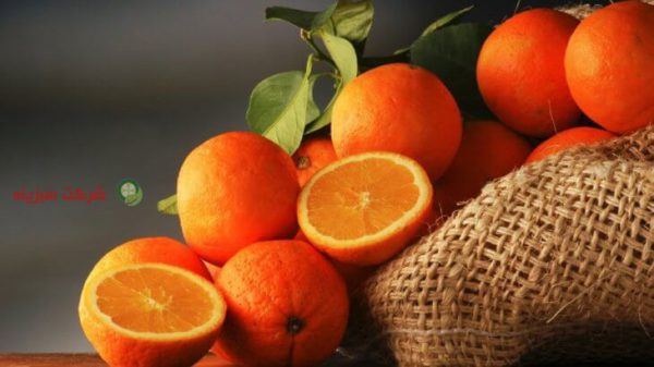 صادرات پرتقال ایران