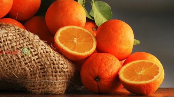 عرضه پرتقال مرغوب در کشور