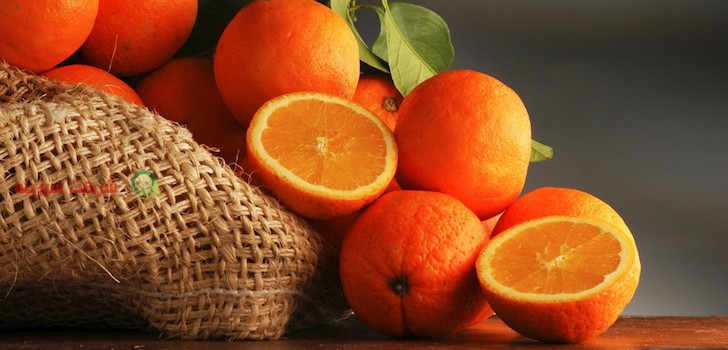 عرضه پرتقال مرغوب در کشور